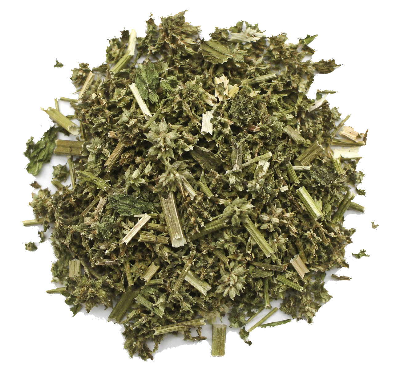 益母草