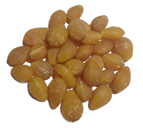 白果（銀杏）