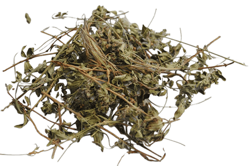 麝香草